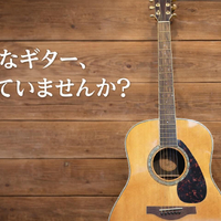 画像253